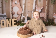 Jesses-Cakes-Smash-37