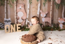 Jesses-Cakes-Smash-44